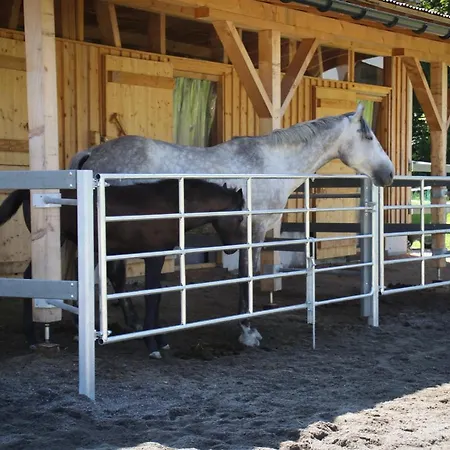 アパート Haus Bergquell