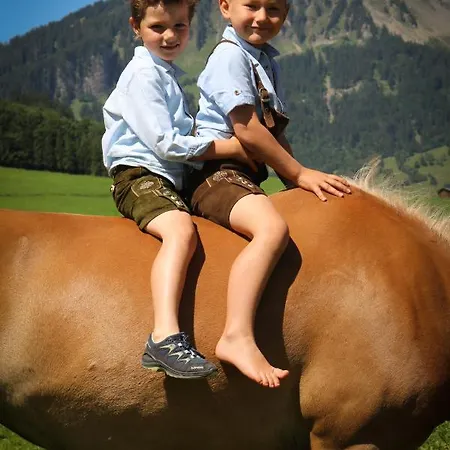 Haus Bergquell アパート Au (Vorarlberg)