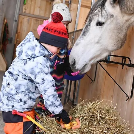 Haus Bergquell アパート Au (Vorarlberg)