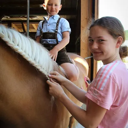 アパート Haus Bergquell Au (Vorarlberg)