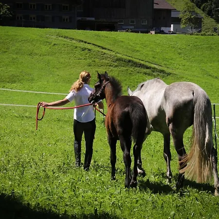 Haus Bergquell Apartman Au (Vorarlberg)
